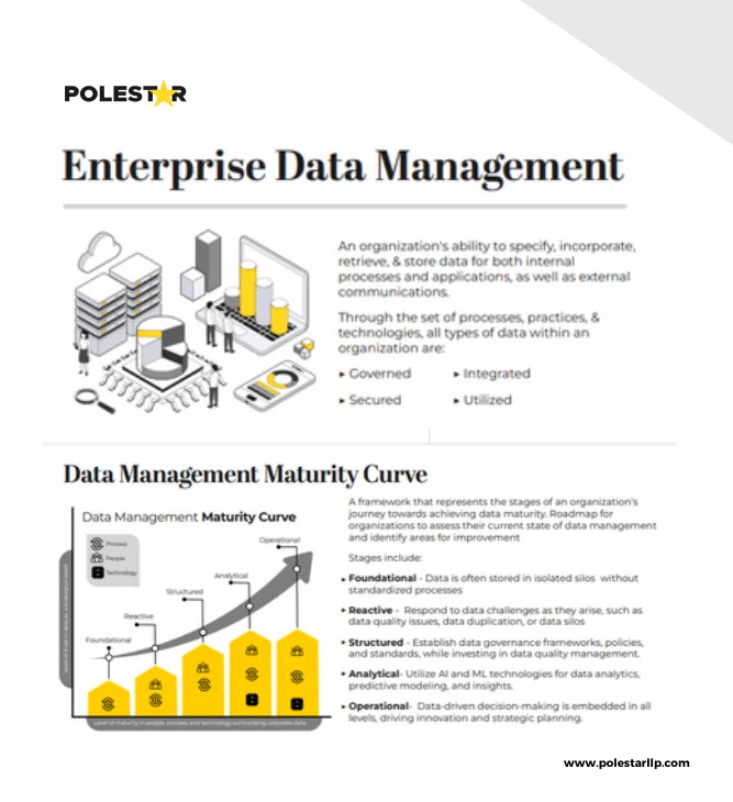 Enterprise Data Management: maturity, types, and checklist